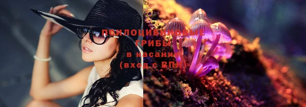2c-b Горняк