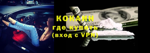 сатива Горнозаводск