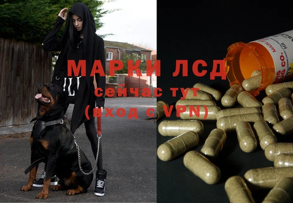 2c-b Горняк