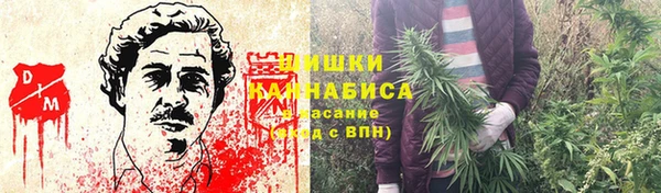 2c-b Горняк