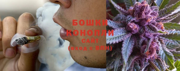 2c-b Горняк